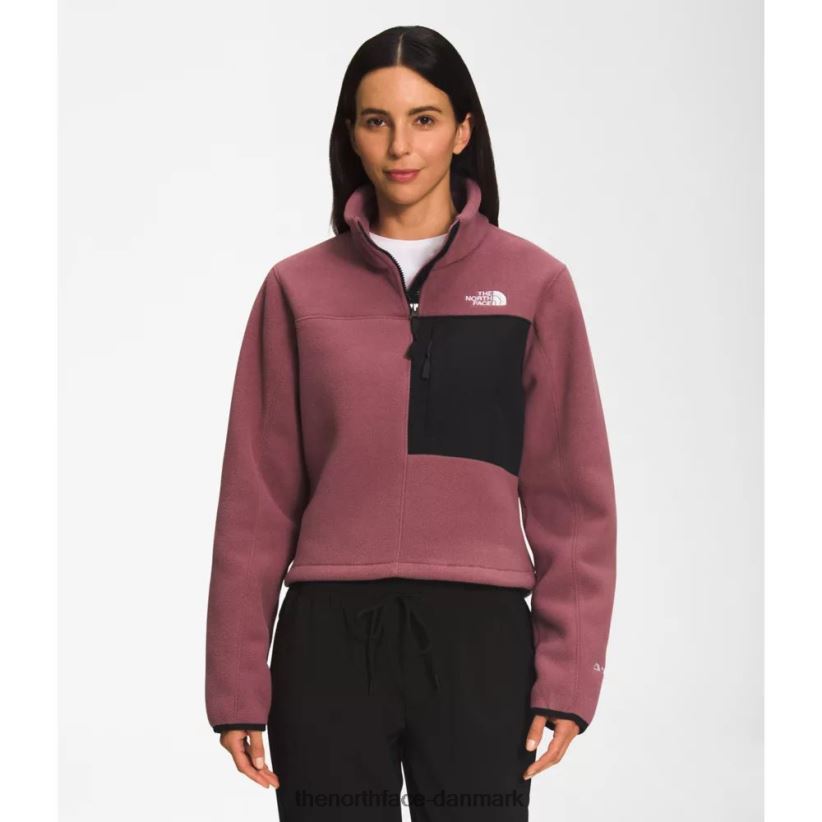 dame denali pullover TZNT0D5608 ingefær The North Face