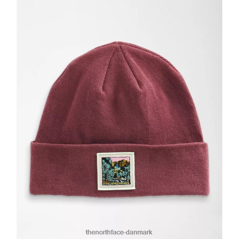 broderet jordlandskabsbeanie TZNT0D3912 ingefær The North Face