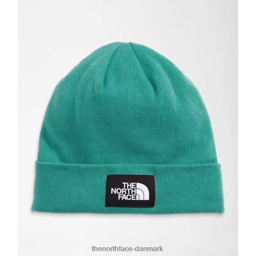 havnearbejder genbrugsbeanie TZNT0D3235 wasabi The North Face